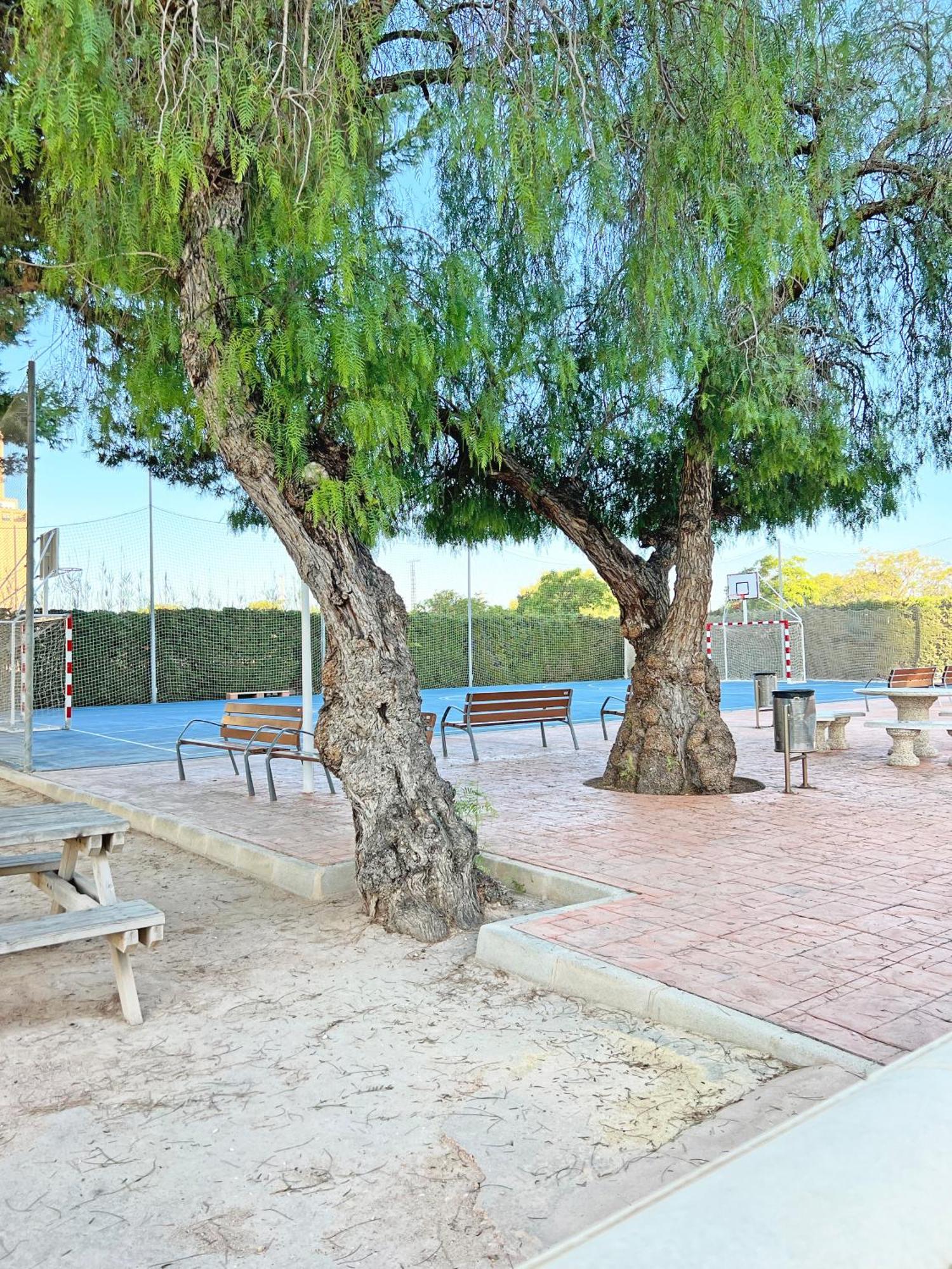Апартаменти Coqueto Con Piscina, Nuevo A 50M Del Mar, Parking Gratis Ел-Кампельйо Екстер'єр фото